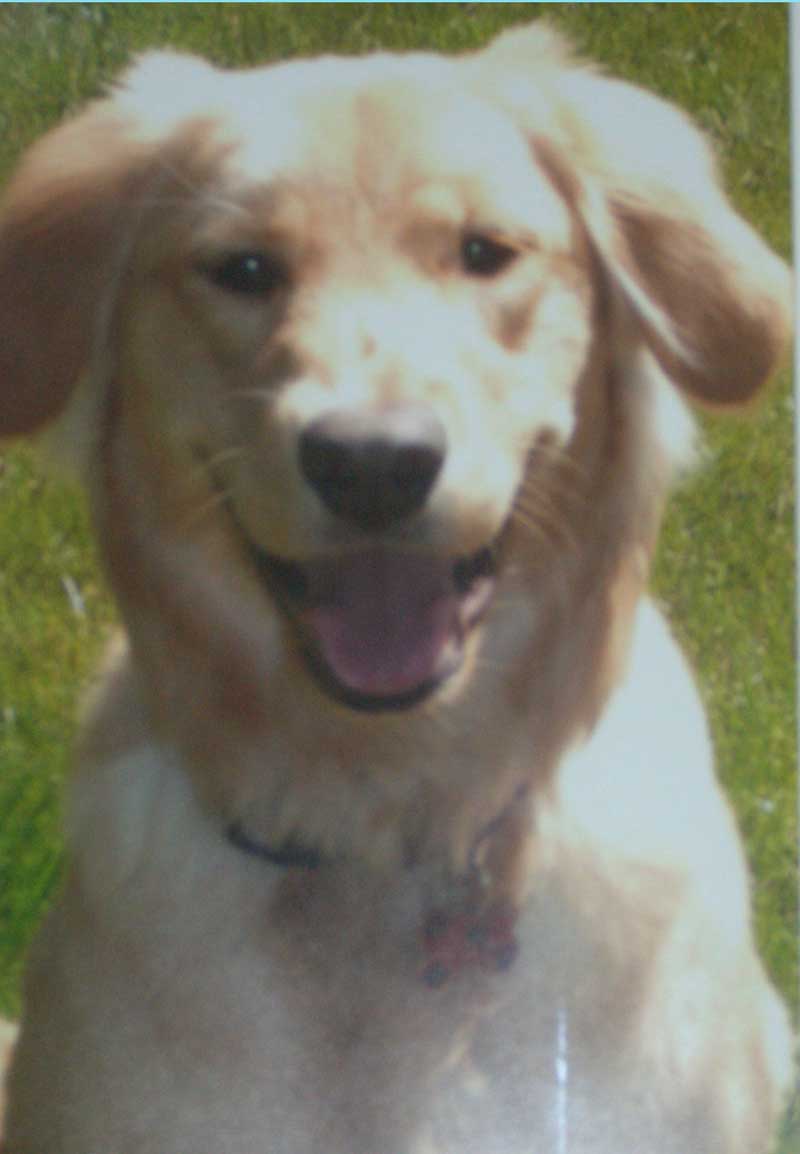 roxy